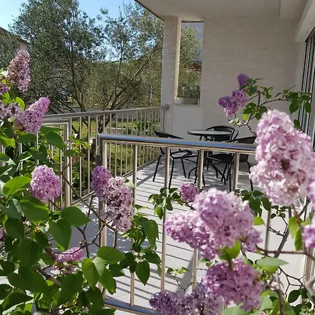 Olive Garden