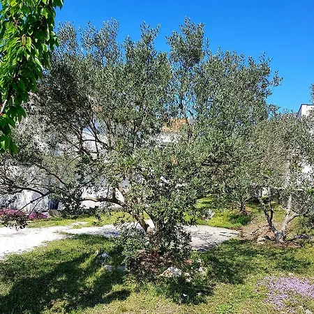 Olive Garden Appartamento